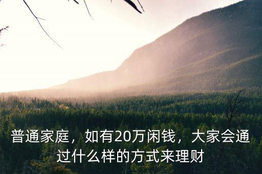 普通家庭，如有20萬閑錢，大家會通過什么樣的方式來理財(cái)