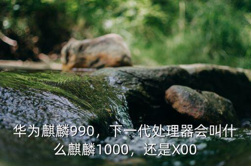 華為麒麟990，下一代處理器會(huì)叫什么麒麟1000，還是X00