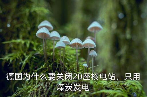 德國為什么要關(guān)閉20座核電站，只用煤炭發(fā)電