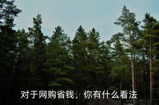 對(duì)于網(wǎng)購(gòu)省錢，你有什么看法