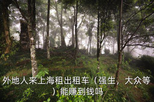 外地人來上海租出租車（強(qiáng)生，大眾等）能賺到錢嗎