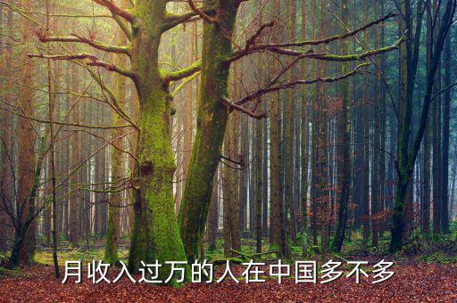 月收入過萬的人在中國(guó)多不多