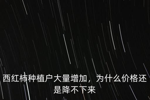 西紅柿種植戶大量增加，為什么價格還是降不下來