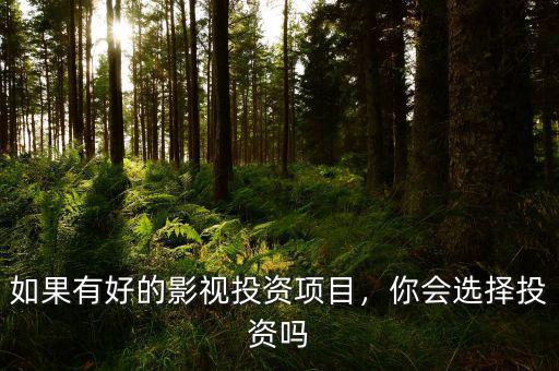 如果有好的影視投資項(xiàng)目，你會(huì)選擇投資嗎
