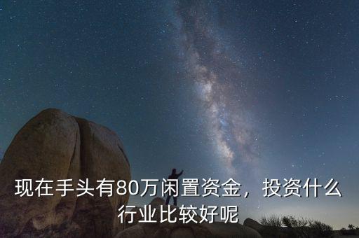 現(xiàn)在手頭有80萬閑置資金，投資什么行業(yè)比較好呢