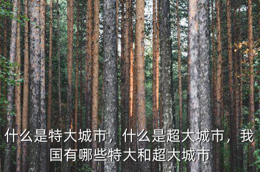 什么是特大城市，什么是超大城市，我國(guó)有哪些特大和超大城市