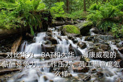 桐廬?？低曉趺礃?員工滿意度怎么樣