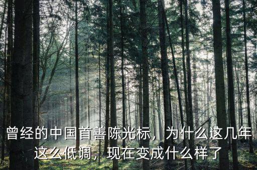 曾經(jīng)的中國(guó)首善陳光標(biāo)，為什么這幾年這么低調(diào)，現(xiàn)在變成什么樣了