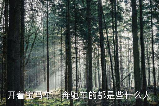 開著寶馬車、奔馳車的都是些什么人