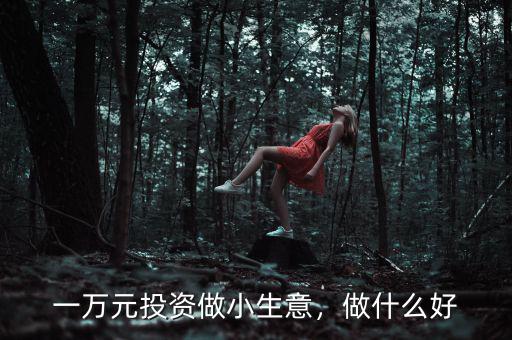 一萬元投資做小生意，做什么好