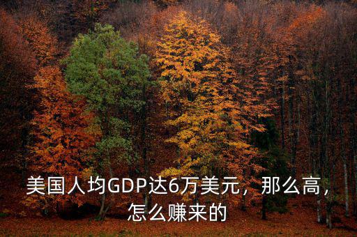 美國人均GDP達(dá)6萬美元，那么高，怎么賺來的