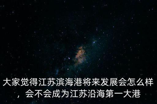大家覺(jué)得江蘇濱海港將來(lái)發(fā)展會(huì)怎么樣，會(huì)不會(huì)成為江蘇沿海第一大港