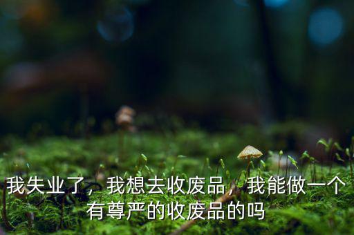 我失業(yè)了，我想去收廢品，我能做一個有尊嚴的收廢品的嗎