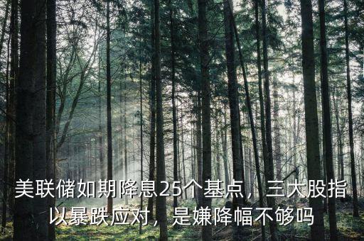美聯(lián)儲(chǔ)如期降息25個(gè)基點(diǎn)，三大股指以暴跌應(yīng)對(duì)，是嫌降幅不夠嗎