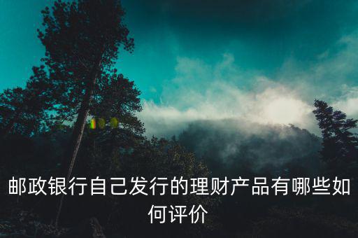 郵政銀行自己發(fā)行的理財產品有哪些如何評價