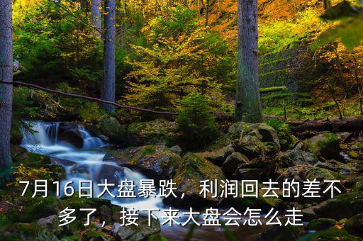 7月16日大盤暴跌，利潤(rùn)回去的差不多了，接下來大盤會(huì)怎么走