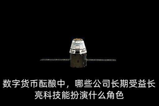 數(shù)字貨幣醞釀中，哪些公司長期受益長亮科技能扮演什么角色