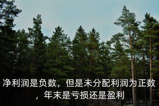 凈利潤是負數(shù)，但是未分配利潤為正數(shù)，年末是虧損還是盈利