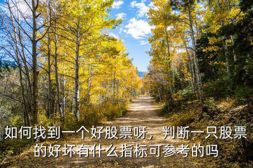 如何找到一個(gè)好股票呀，判斷一只股票的好壞有什么指標(biāo)可參考的嗎