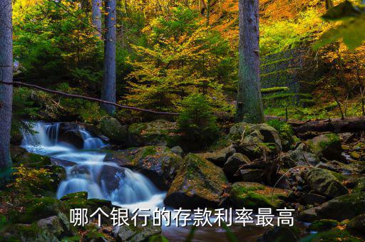 哪個(gè)銀行的存款利率最高