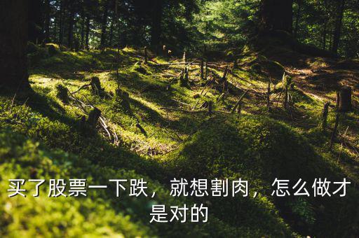 買了股票一下跌，就想割肉，怎么做才是對(duì)的