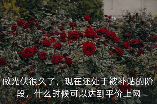 做光伏很久了，現(xiàn)在還處于被補(bǔ)貼的階段，什么時(shí)候可以達(dá)到平價(jià)上網(wǎng)