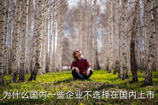 為什么國內一些企業(yè)不選擇在國內上市