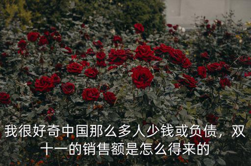 我很好奇中國(guó)那么多人少錢或負(fù)債，雙十一的銷售額是怎么得來的