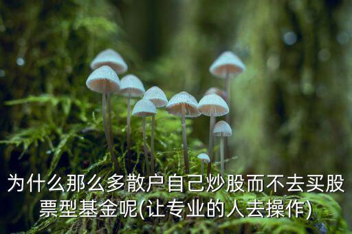 為什么那么多散戶(hù)自己炒股而不去買(mǎi)股票型基金呢(讓專(zhuān)業(yè)的人去操作)