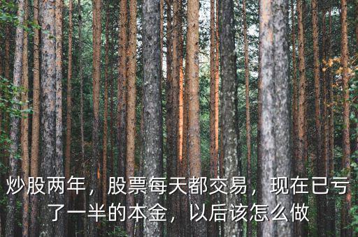 炒股兩年，股票每天都交易，現(xiàn)在已虧了一半的本金，以后該怎么做