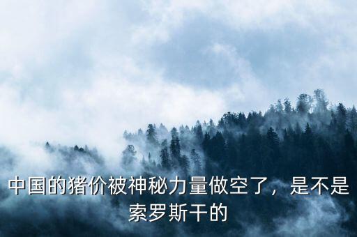 中國(guó)的豬價(jià)被神秘力量做空了，是不是索羅斯干的