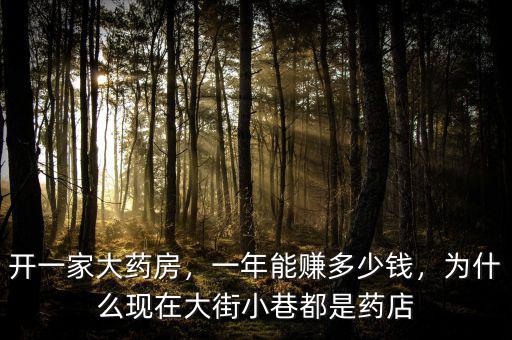 開一家大藥房，一年能賺多少錢，為什么現(xiàn)在大街小巷都是藥店
