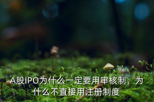 A股IPO為什么一定要用審核制，為什么不直接用注冊(cè)制度