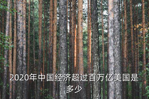 2020年中國(guó)經(jīng)濟(jì)超過(guò)百萬(wàn)億美國(guó)是多少