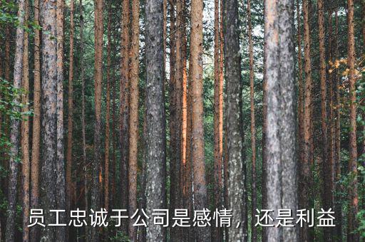 員工忠誠于公司是感情，還是利益