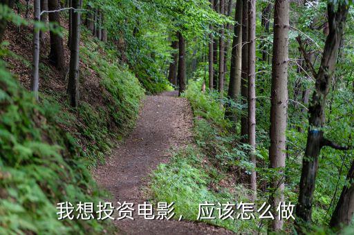 我想投資電影，應(yīng)該怎么做