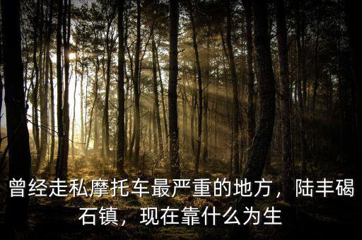曾經(jīng)走私摩托車(chē)最嚴(yán)重的地方，陸豐碣石鎮(zhèn)，現(xiàn)在靠什么為生