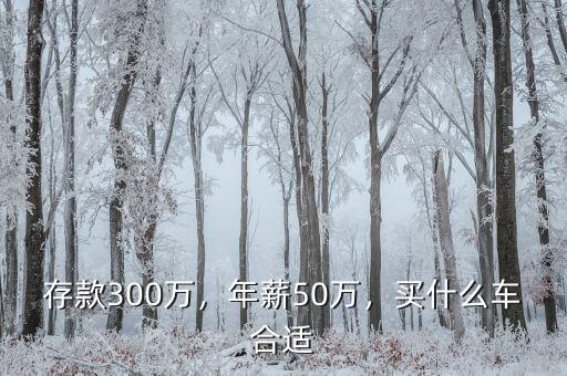 存款300萬(wàn)，年薪50萬(wàn)，買(mǎi)什么車(chē)合適