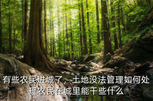 有些農(nóng)民進(jìn)城了，土地沒法管理如何處理農(nóng)民在城里能干些什么
