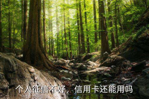 個人征信不好，信用卡還能用嗎