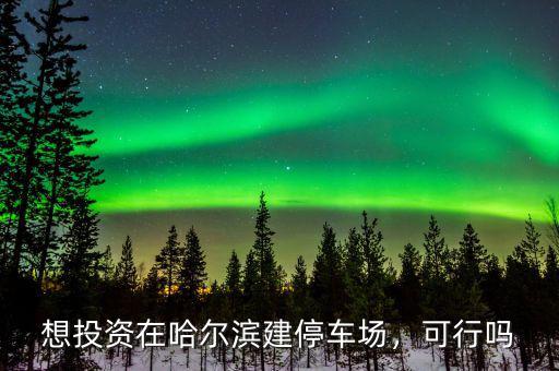 想投資在哈爾濱建停車場(chǎng)，可行嗎