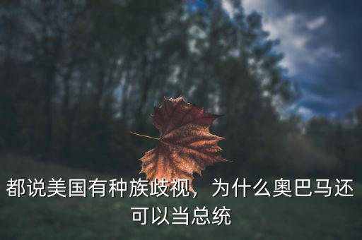 都說美國有種族歧視，為什么奧巴馬還可以當(dāng)總統(tǒng)