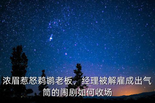 濃眉惹怒鵜鶘老板，經(jīng)理被解雇成出氣筒的鬧劇如何收場