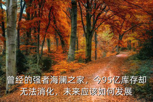 曾經(jīng)的強(qiáng)者海瀾之家，今95億庫存卻無法消化，未來應(yīng)該如何發(fā)展