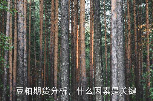 豆粕期貨分析，什么因素是關(guān)鍵