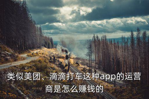 類似美團(tuán)、滴滴打車(chē)這種app的運(yùn)營(yíng)商是怎么賺錢(qián)的