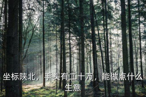 坐標(biāo)陜北，手頭有二十萬，能做點(diǎn)什么生意