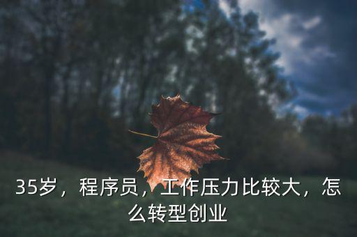 35歲，程序員，工作壓力比較大，怎么轉(zhuǎn)型創(chuàng)業(yè)