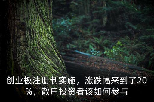 創(chuàng)業(yè)板注冊(cè)制實(shí)施，漲跌幅來(lái)到了20%，散戶(hù)投資者該如何參與