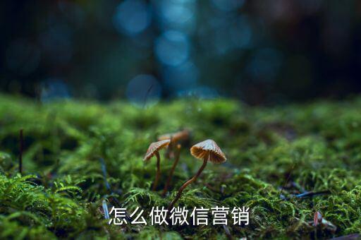 孫宏斌怎么做營(yíng)銷(xiāo),怎么做微信營(yíng)銷(xiāo)